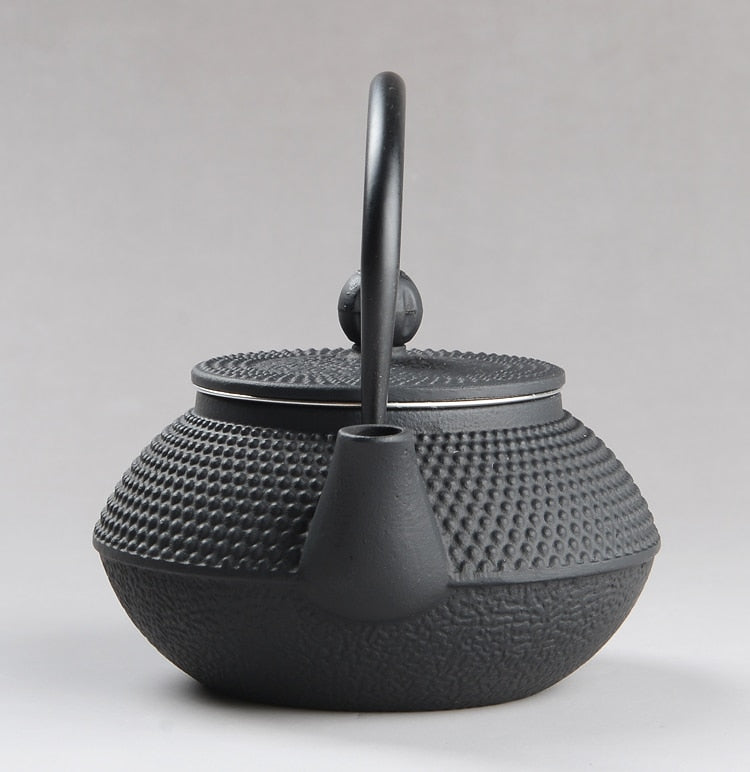 Tea Pot (iron) with Stainless Steel Infuser 300ML